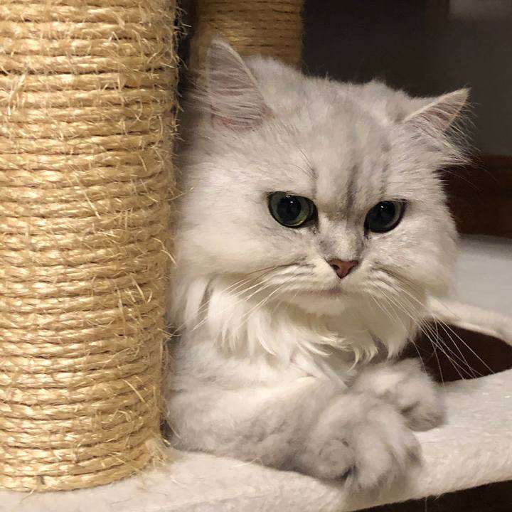 E28eafbd b377 40f3 aa0e fe4093fdbe3b 1562244532883