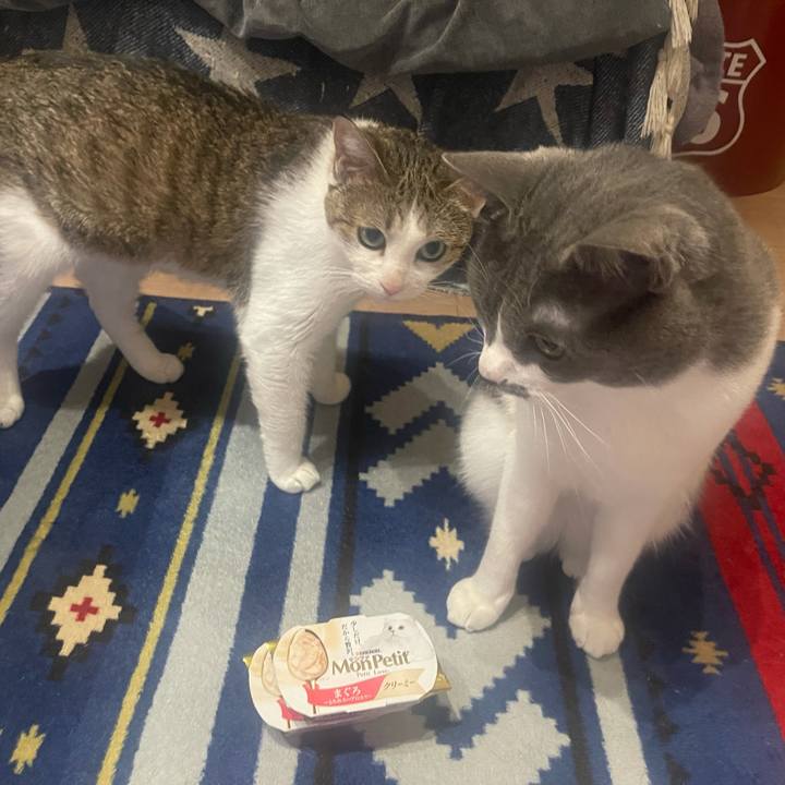 E28ed94a 6f68 4872 8cfc d6d32e641127 1632308354320