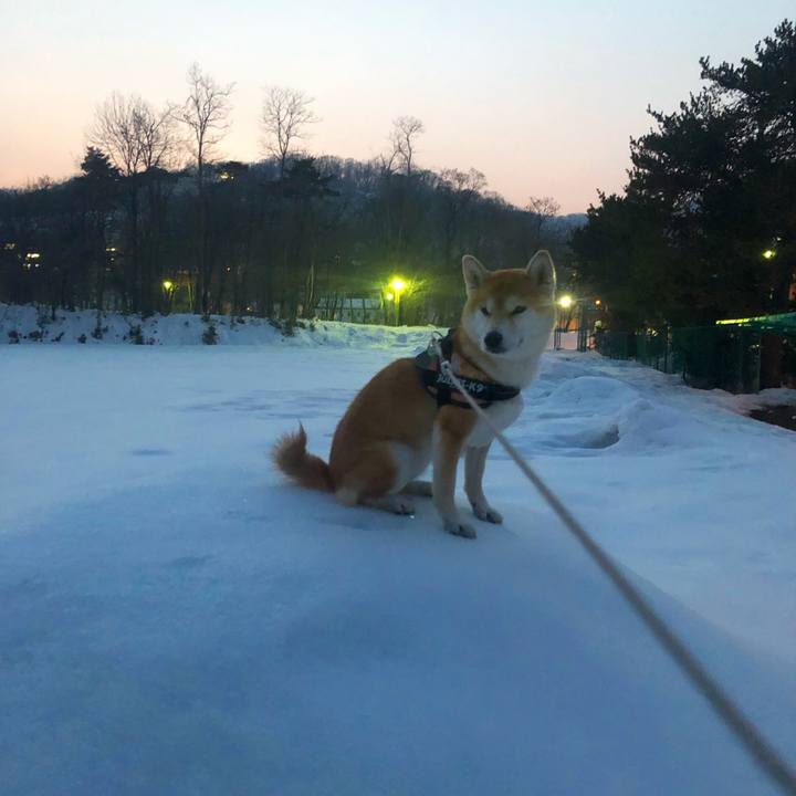 E28eefe0 cfe5 40f7 b688 ce68bb5f7ed3 1551359580682