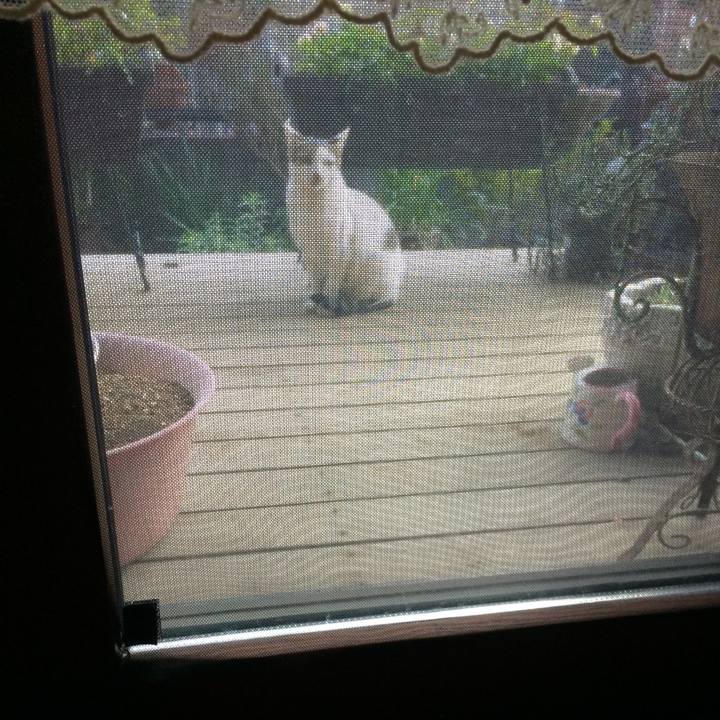 E28f04e5 cd8e 4c23 8ded f0dedee65ffe 1573873124598