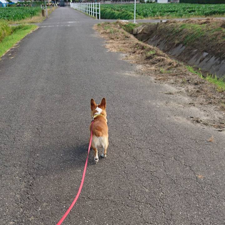 E28f1091 e069 4e4a b337 1f97d7656707 1568677961364