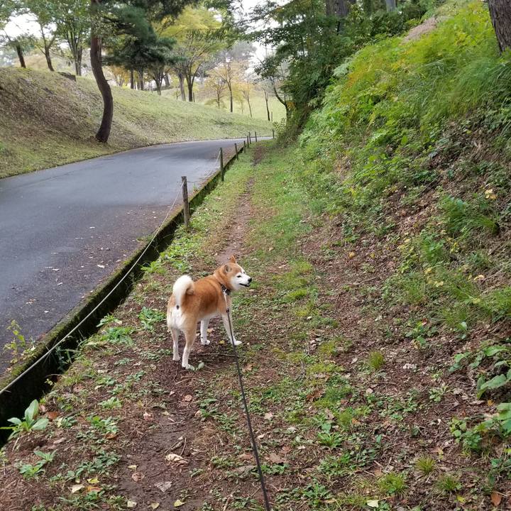 E28f7865 30d1 4f58 8f5a cb8a80662d4b 1666069127397