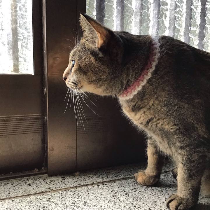 E28f91df 43dc 4180 9dd3 2e4f3ddeabb0 1661314263248