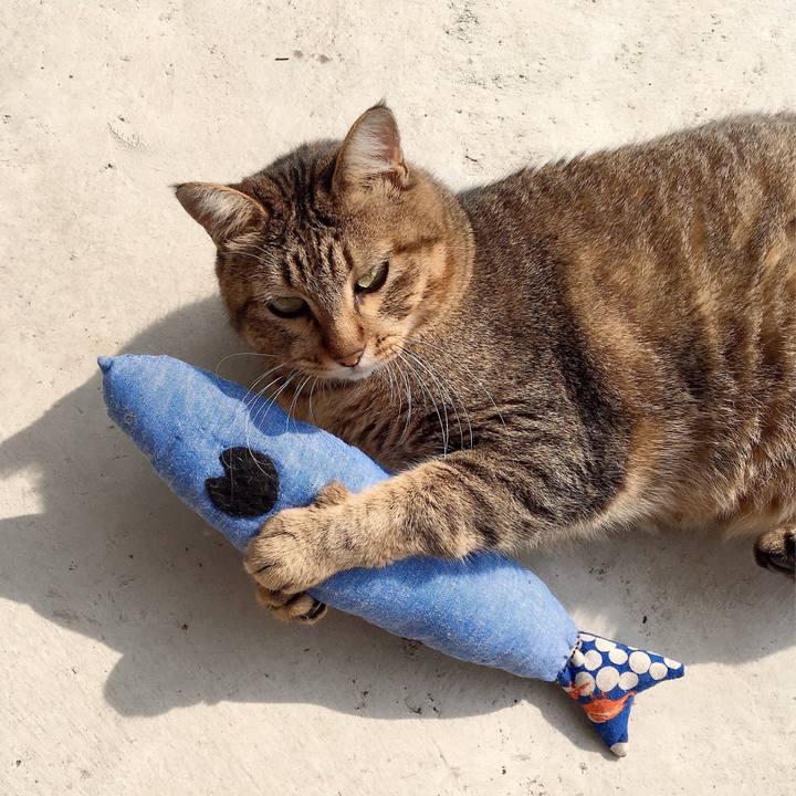 E2901e11 2187 4504 8d0d 16d56eac477f 1572231403815