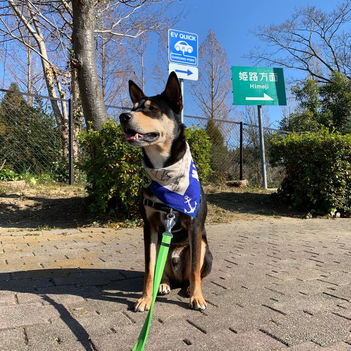 E290295d cda5 4b40 94d4 ce022e317ce4 1546353636724