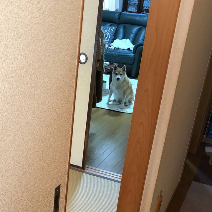 E2907282 65d8 482b be35 9b0cab2a6779 1603263878763