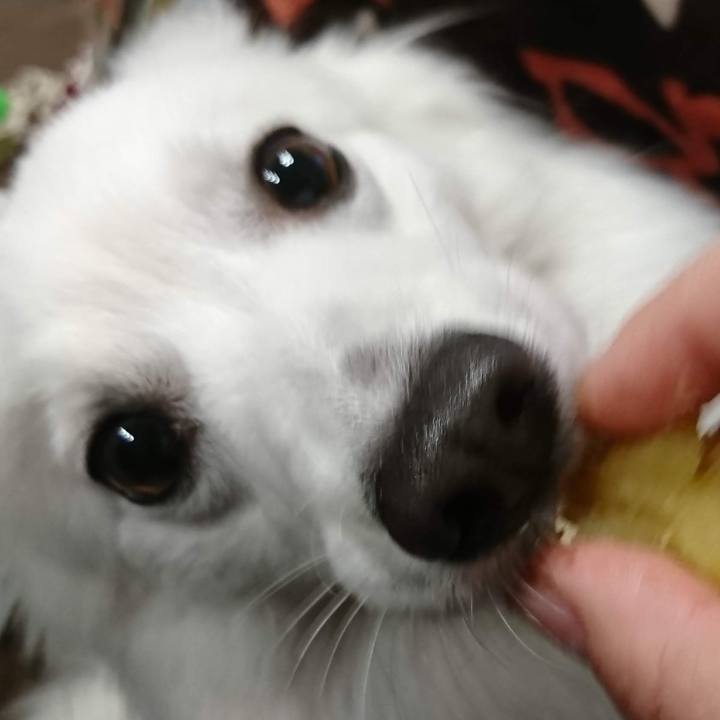 E2908e4e 47aa 4ccc 9d7f b185cb34a3f4 1544345302028