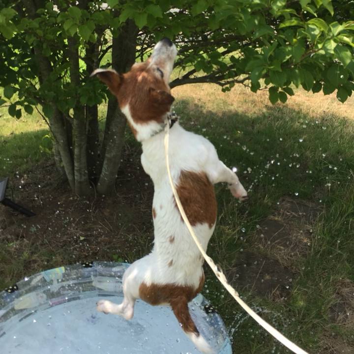 E29099c7 a4e8 42a0 b5b8 a42c7d41560f 1533472967875