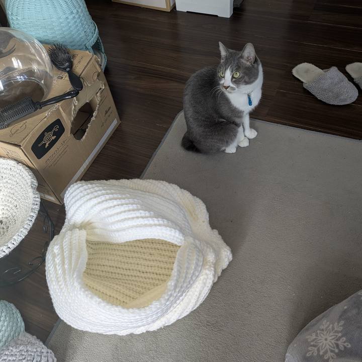 E290dd99 b19a 43dc b0d7 4e6f9cc0083e 1768270113918