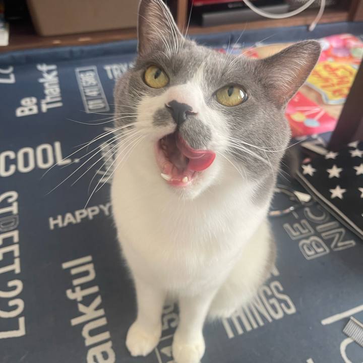 E290f503 cc4a 4955 b4d6 7715984a44e3 1697337178167