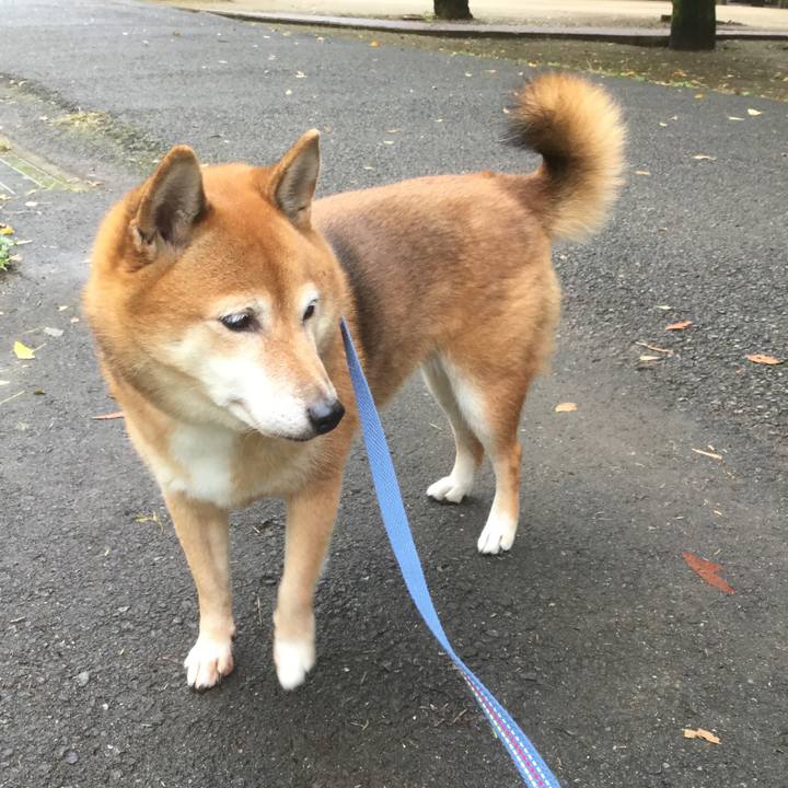 E2913444 89f8 4b86 8436 723f4804575c 1571382616605