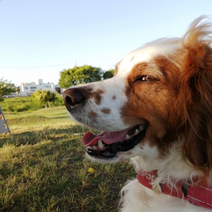 E29135f3 d8e6 481b bf2d b67dfbb3502a 1589284971142