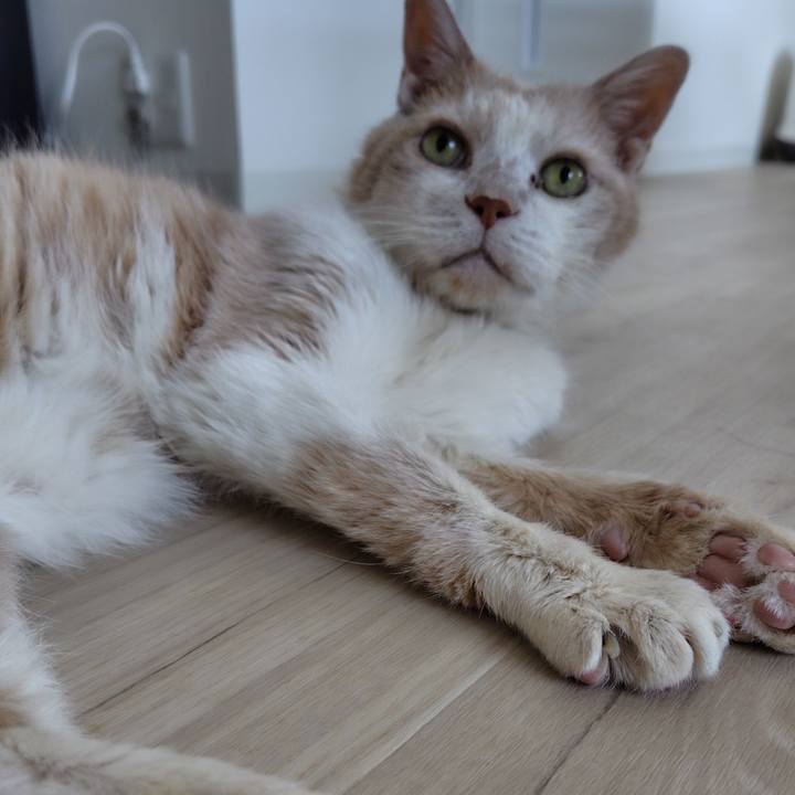 E2913b46 66d1 4128 bb54 e124ad018c9c 1754008656063