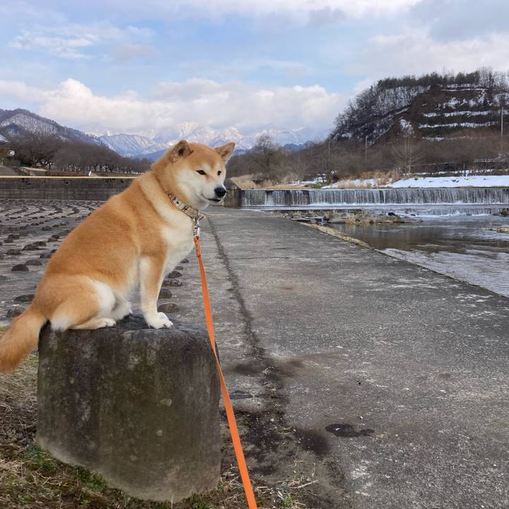 E2915a3c 9d88 487c 9b32 06ab2408459d 1709881600979