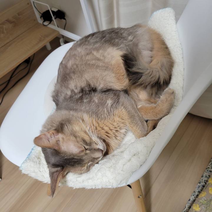 E2915cf3 ac21 4243 afa6 26ee9c145f51 1636090941289