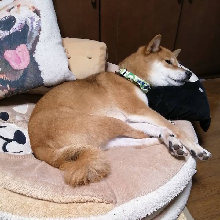 E291cfa7 1408 4451 ab61 d728db593890 1596292775194