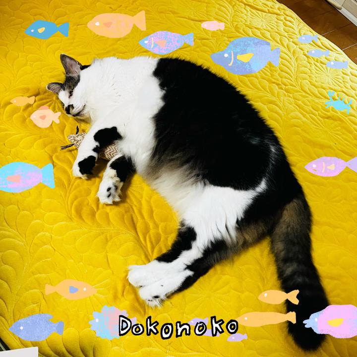 E291e68f 7c68 4b10 b530 92c2e2da2063 1755391291287