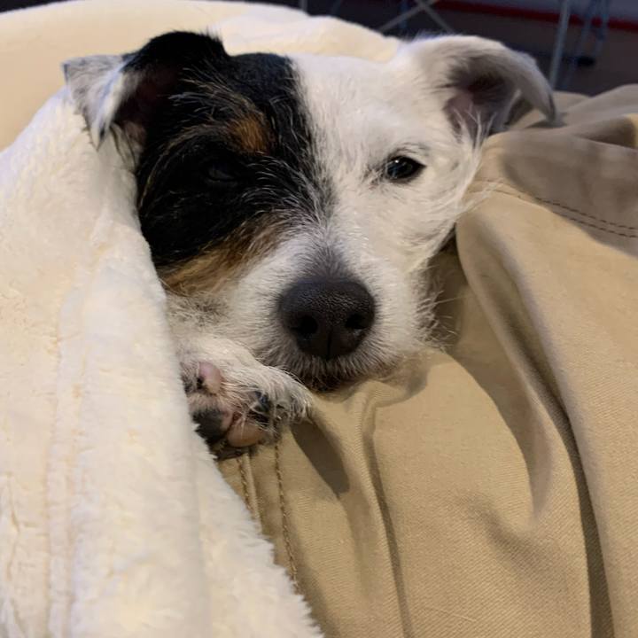 E291e9f3 60da 4173 b99f 3ed74321529d 1587366504299