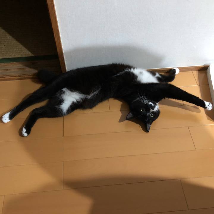 E291f732 3059 487b aea3 89c26c63302b 1564456939589