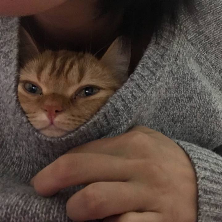 E29207f8 5ad3 4921 9498 5c7b4184c408 1512905280863