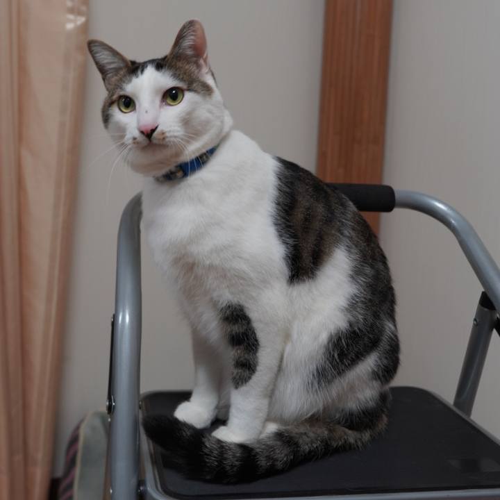 E29229f8 0ed1 4d36 9a57 b439c1179764 1609414976779