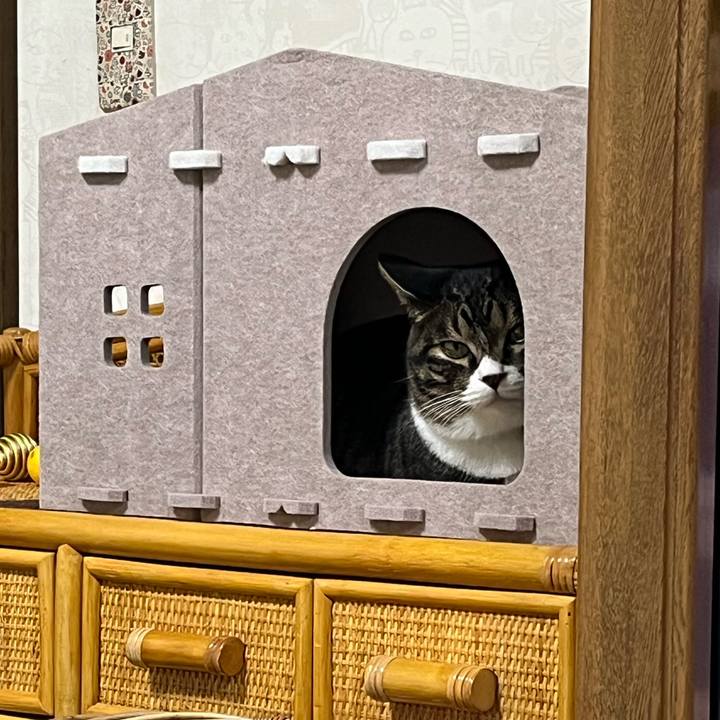 E2924890 b1f9 4164 85f1 4a46be2e99a3 1766100583343