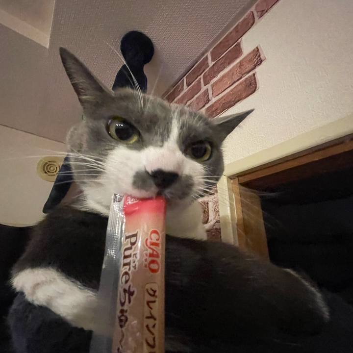 E2925f56 cf62 4130 9116 2ca4a2d79423 1669368225872