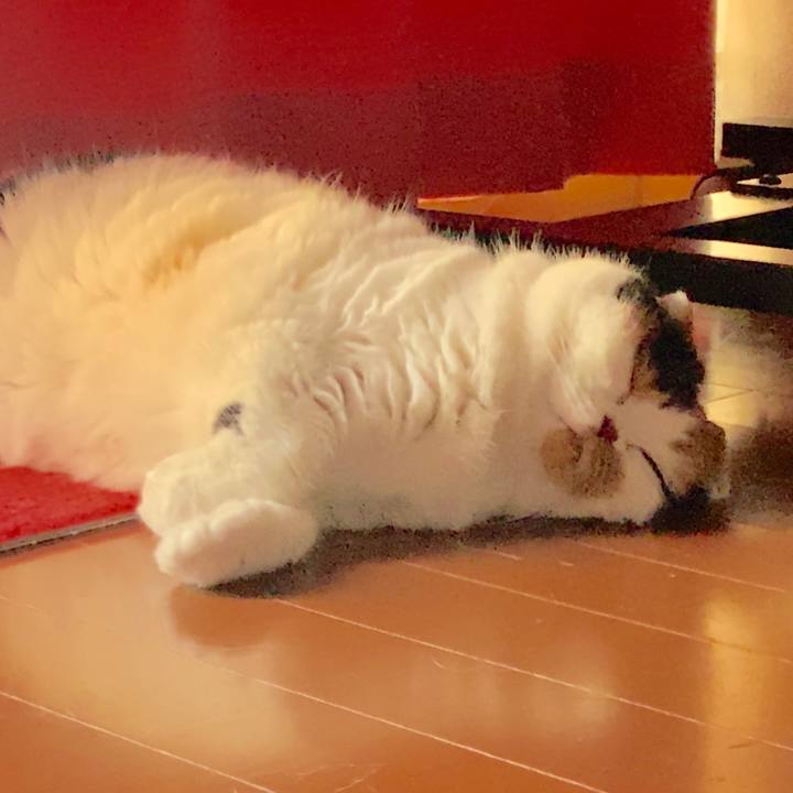 E2929a8c 69cf 44f6 8750 2593367938b0 1564976078396