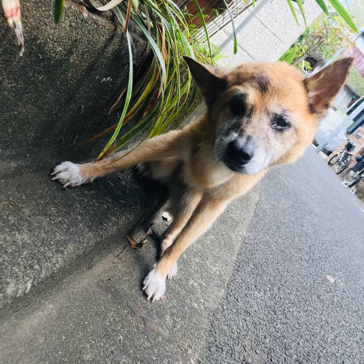 E292b78b d32f 4177 9659 ebd5798a052e 1565218473229