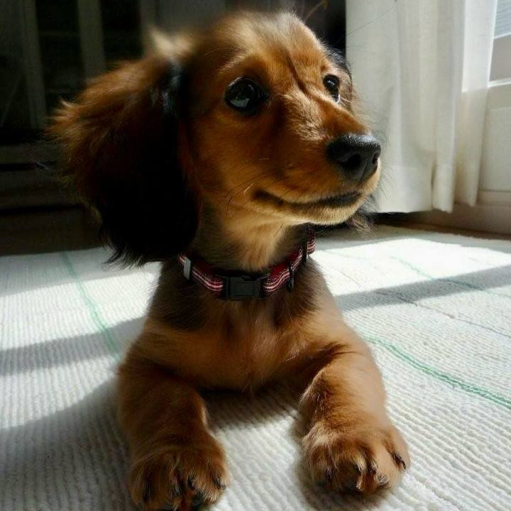 E2930713 3c99 4e51 87e1 c803d2442249 1762260639511