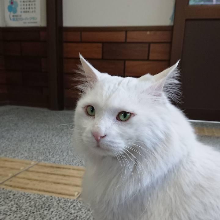 E2930cde 3f56 4cb2 b1c3 15f41fa728b7 1524090413430