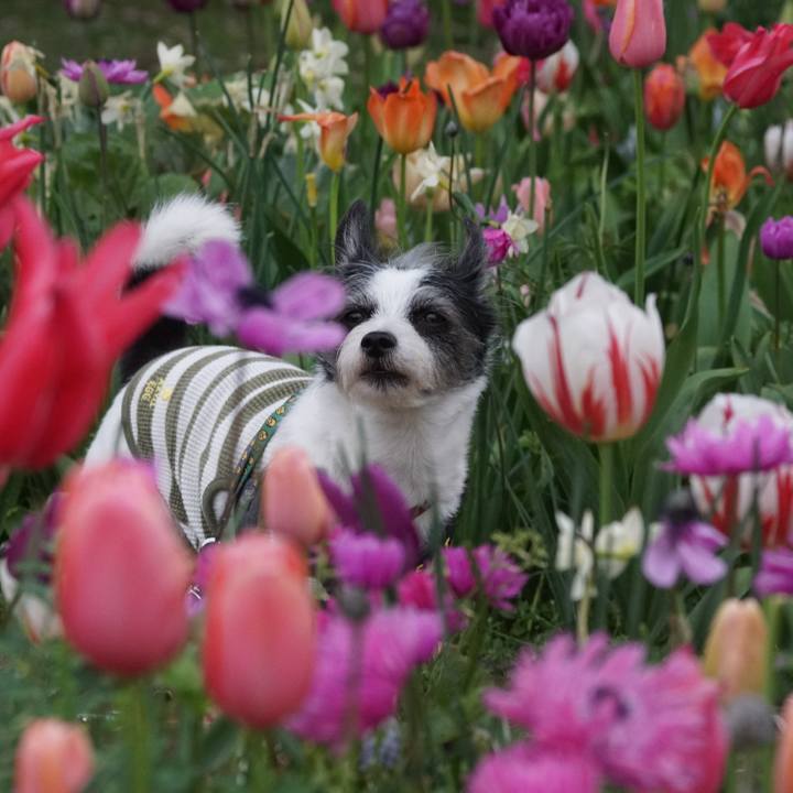 E2930df5 b528 41d4 99ad 33a58f123781 1713436559492