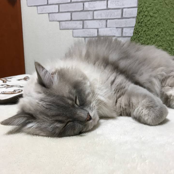 E2930e9c 65ee 483b 8d24 9e66a6d8860a 1511086135755