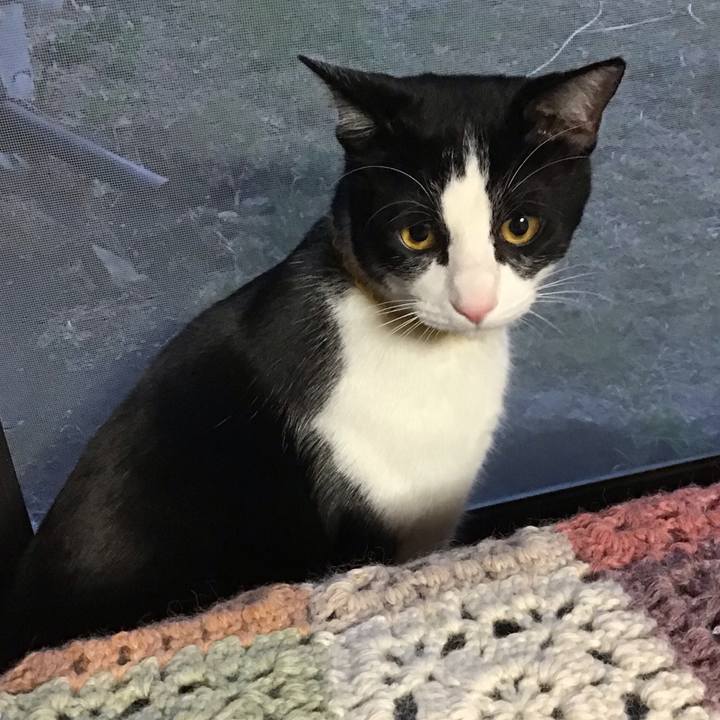 E2934acc 884d 40a6 b85c c1ac454f21c1 1647250346011