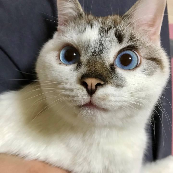 E2938974 d5a0 4288 a1a3 4c4d9d33f5dc 1516109367930