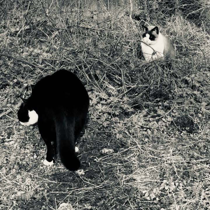 E29391c4 dce0 4e9e 9be3 b96eb66c0ca6 1772376679293