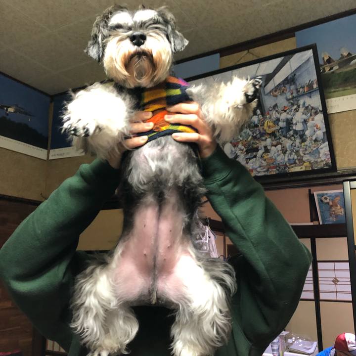 E29394ea 7229 47e2 8020 453a9e0123a9 1577951140650