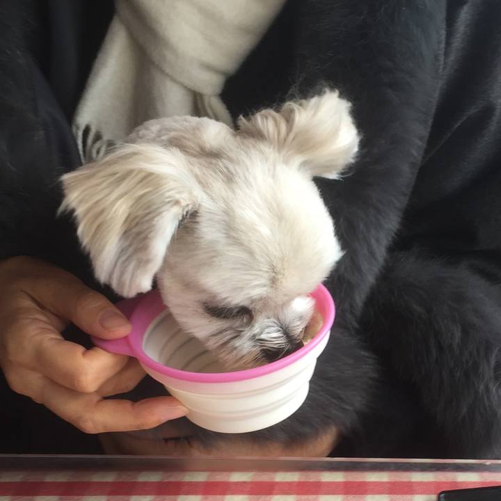 E293cc96 3415 4c7e a817 12ad058e8c25 1513502906673