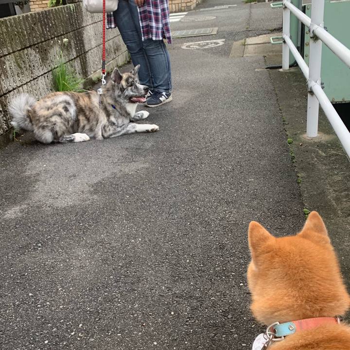 E29401aa 8c5b 4673 b615 1ff2b8162704 1566607706595