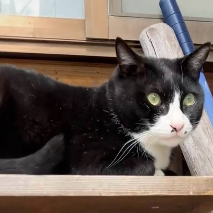 E2940718 5642 4b37 9ff4 317048d370ed 1741570901997