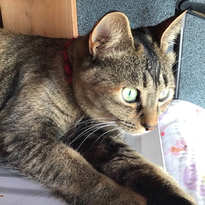 E2942791 0816 470a bb57 fefabd153ae1 1613701400578