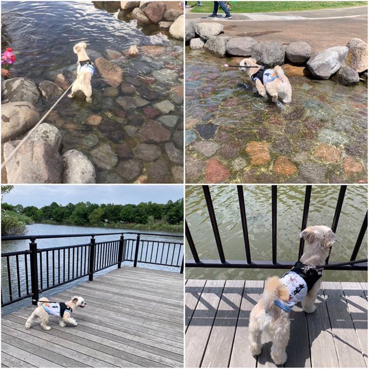 E29467a4 9c9a 4279 808e 97cf55934f4d 1558264753383