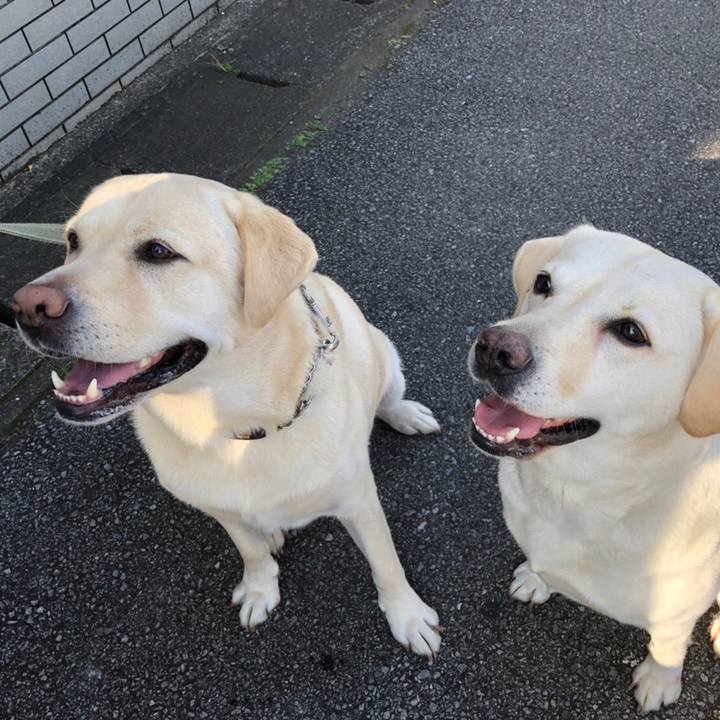 E294873e f40a 494c b967 752b80557825 1602242255533