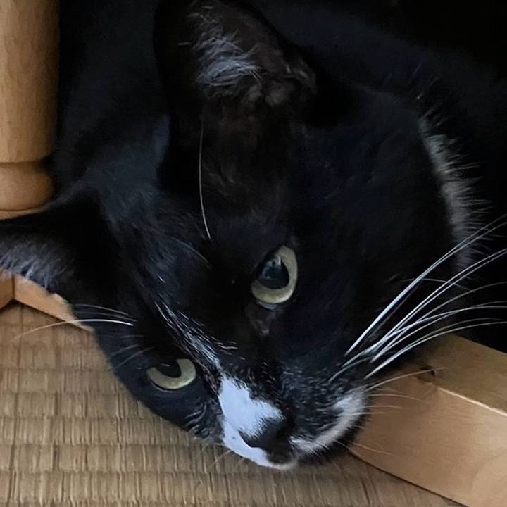 E294b13b 7e24 4ca7 afa1 7b4fb4abe1c6 1729303351112