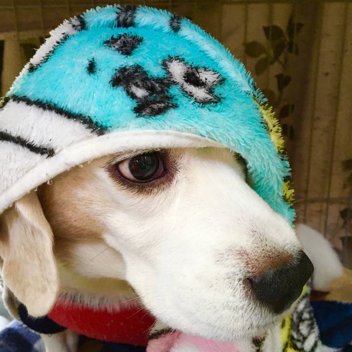 E294e251 be07 44b3 8623 f0e75322816a 1575439432002