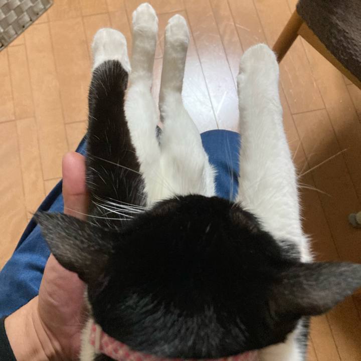 E294f838 dcd3 46a8 931e 084a46dc4646 1654845288506