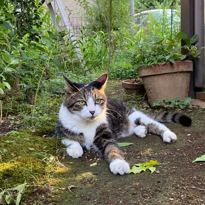 E294f920 11b8 4788 ace2 fcf1191eb110 1660652348818