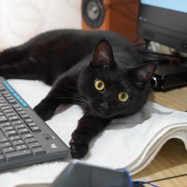 E2955ae8 862a 47f5 ae26 3e84b7449fa9 1629289559747