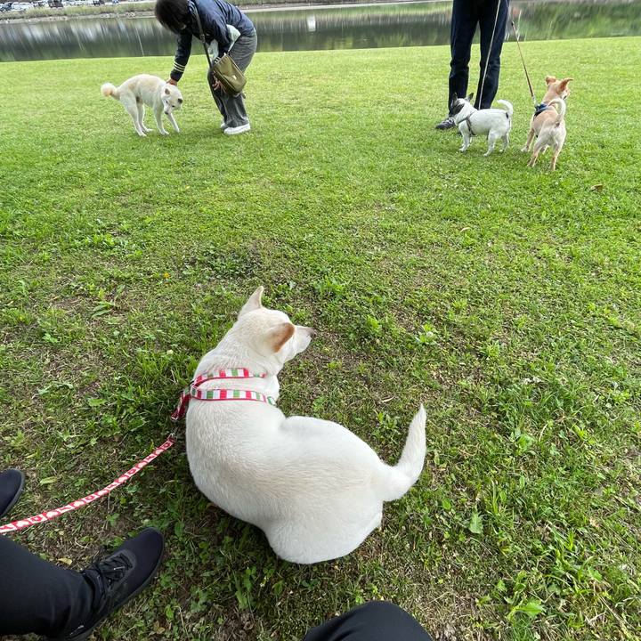 E29598de 5d86 4be4 86db f67adeb00c09 1651837926224