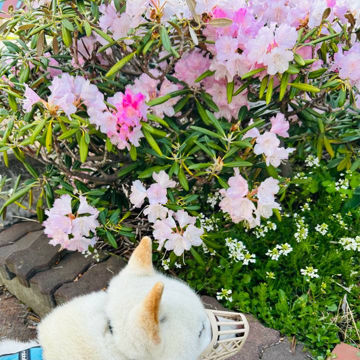 E295ffa6 a4a5 45a2 897e eef03dcdba91 1683410989807